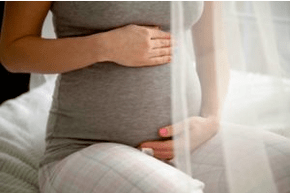 Nutritional characteristics during pregnancy