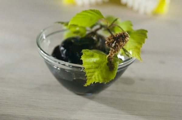 Birch oil for the treatment of psoriasis